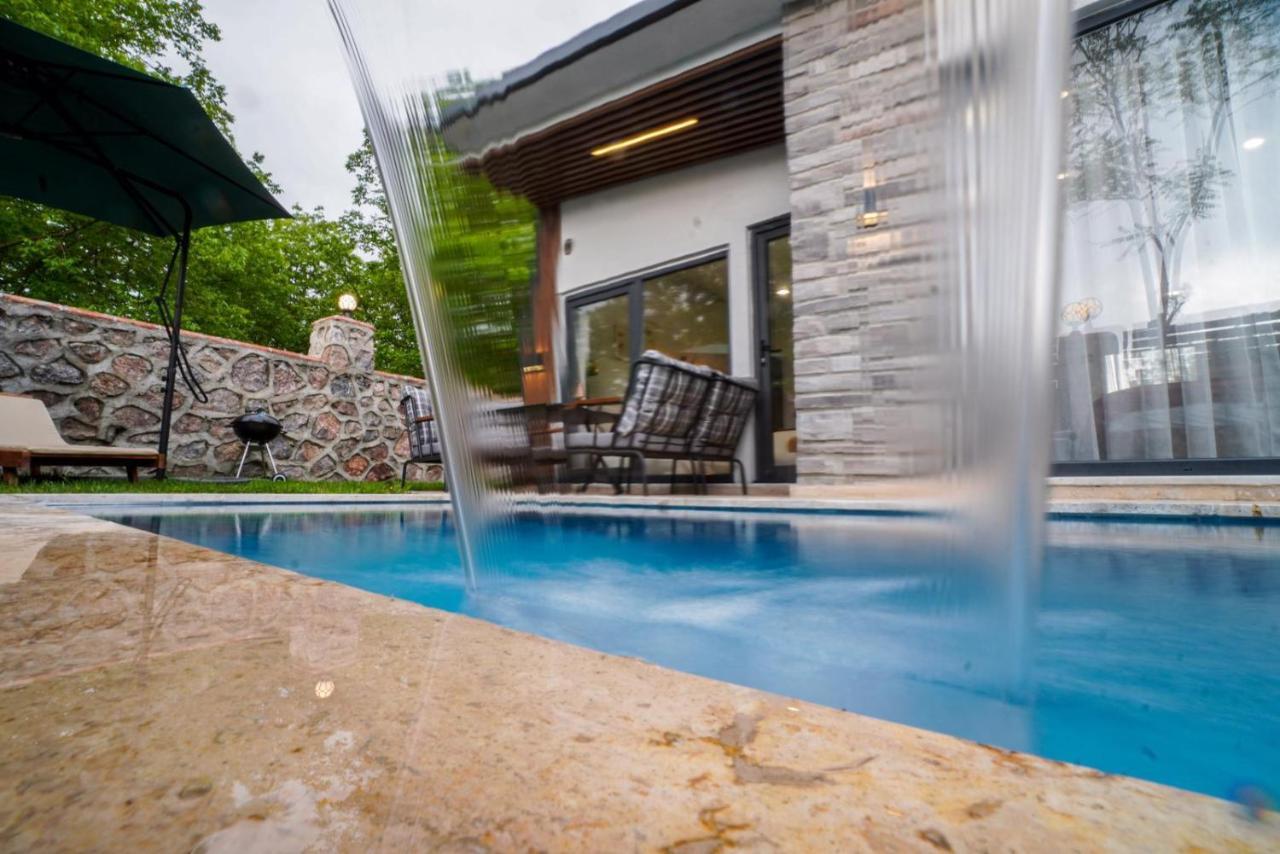 Vital Home Sapanca Isitmali Havuzlu Villa&Bungalov エクステリア 写真
