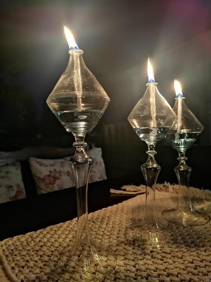 Vital Home Sapanca Isitmali Havuzlu Villa&Bungalov エクステリア 写真